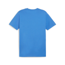 teamGOAL Baumwollshirt Ignite Blue-PUMA White