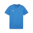 teamGOAL Casuals Tee Ignite Blue-PUMA White