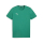 teamGOAL Baumwollshirt Sport Green-PUMA White