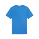 teamGOAL Casuals Tee Jr Ignite Blue-PUMA White