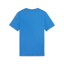 teamGOAL Baumwollshirt Junior Ignite Blue-PUMA White