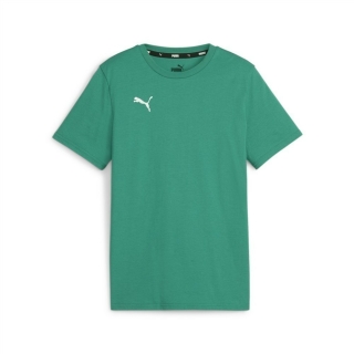 teamGOAL Casuals Tee Jr Sport Green-PUMA White