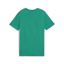 teamGOAL Casuals Tee Jr Sport Green-PUMA White