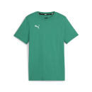 teamGOAL Baumwollshirt Junior Sport Green-PUMA White