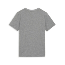 teamGOAL Casuals Tee Jr Medium Gray Heather-PUMA White