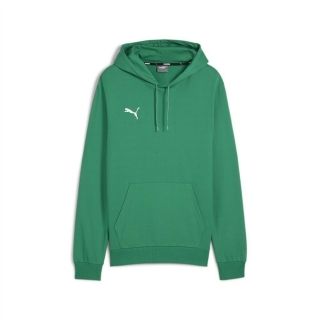 teamGOAL Casuals Hoody Sport Green-PUMA White