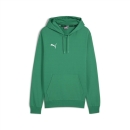 teamGOAL Casuals Hoody Sport Green-PUMA White