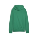 teamGOAL Casuals Hoody Sport Green-PUMA White