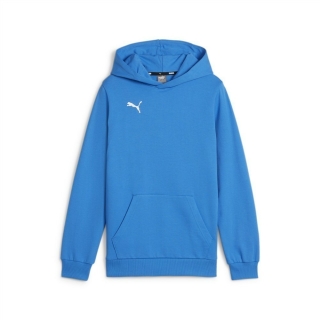 teamGOAL Casuals Hoody Jr Ignite Blue-PUMA White