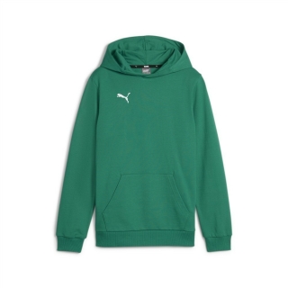 teamGOAL Casuals Hoody Jr Sport Green-PUMA White