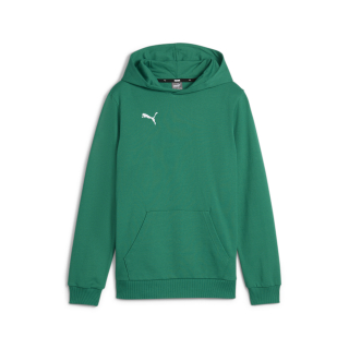 teamGOAL Casuals Hoody Jr Sport Green-PUMA White