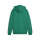 teamGOAL Casuals Hoody Jr Sport Green-PUMA White