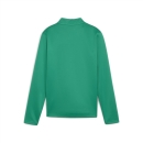 teamGOAL Training 1/4 Zip Top Jr Sport Green-PUMA...