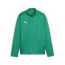 teamGOAL Training Jacket Jr Sport Green-PUMA White-Power...