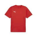 teamGOAL Trikot PUMA Red-PUMA White-Fast Red