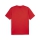 teamGOAL Trikot PUMA Red-PUMA White-Fast Red