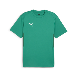 teamGOAL Trikot Sport Green-PUMA White-Power Green