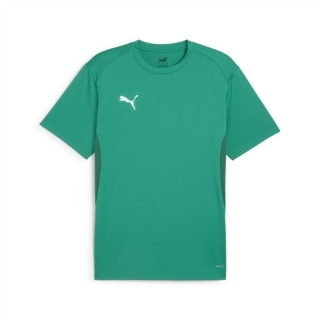 teamGOAL Trikot Sport Green-PUMA White-Power Green