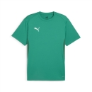 teamGOAL  Jersey Sport Green-PUMA White-Power Green