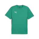 teamGOAL Trikot Sport Green-PUMA White-Power Green