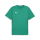 teamGOAL Trikot Sport Green-PUMA White-Power Green