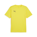 teamGOAL Trikot Faster Yellow-PUMA Black-Sport Yellow