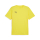 teamGOAL  Jersey Faster Yellow-PUMA Black-Sport Yellow