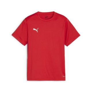 teamGOAL Trikot Junior PUMA Red-PUMA White-Fast Red