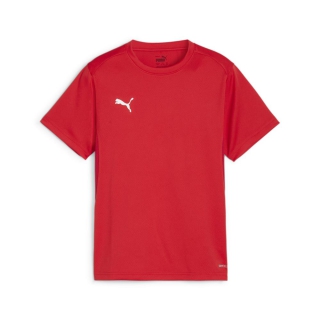 teamGOAL Jersey Jr PUMA Red-PUMA White-Fast Red