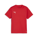 teamGOAL Jersey Jr PUMA Red-PUMA White-Fast Red