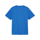 teamGOAL Jersey Jr Electric Blue Lemonade-PUMA White-PUMA Team Royal