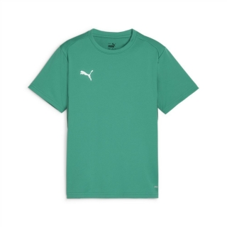 teamGOAL Jersey Jr Sport Green-PUMA White-Power Green