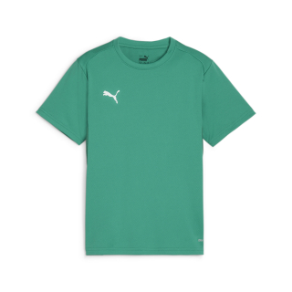 teamGOAL Trikot Junior Sport Green-PUMA White-Power Green