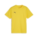 teamGOAL Jersey Jr Faster Yellow-PUMA Black-Sport Yellow