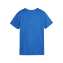 teamGOAL Jersey Wmn Electric Blue Lemonade-PUMA White