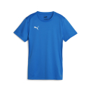 teamGOAL Jersey Wmn Electric Blue Lemonade-PUMA White