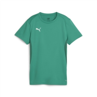 teamGOAL Jersey Wmn Sport Green-PUMA White