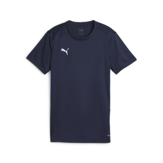 teamGOAL Jersey Wmn PUMA Navy-PUMA White