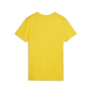 teamGOAL Damen-Trikot Faster Yellow-PUMA Black-Sport Yellow