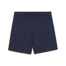 teamGOAL Training Short Wmn PUMA Navy-PUMA White-Persian Blue