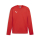 teamGOAL Trainingssweat PUMA Red-PUMA White-Fast Red