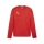 teamGOAL Trainingssweat PUMA Red-PUMA White-Fast Red