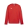 teamGOAL Training Sweat PUMA Red-PUMA White-Fast Red