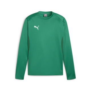 teamGOAL Trainingssweat Sport Green-Power Green-PUMA White