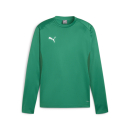 teamGOAL Training Sweat Sport Green-Power Green-PUMA White