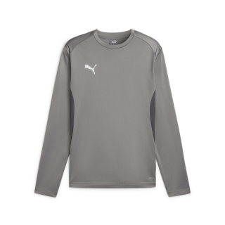 teamGOAL Training Sweat Cast Iron-PUMA White-Shadow Gray