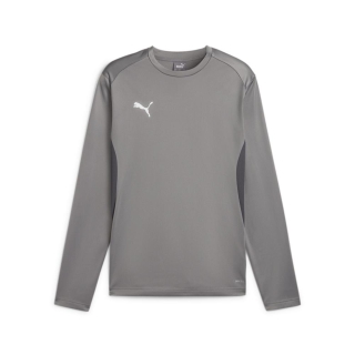 teamGOAL Training Sweat Cast Iron-PUMA White-Shadow Gray