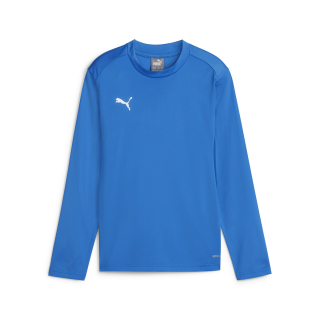 teamGOAL Training Sweat Jr Electric Blue Lemonade-PUMA White-PUMA Team Royal