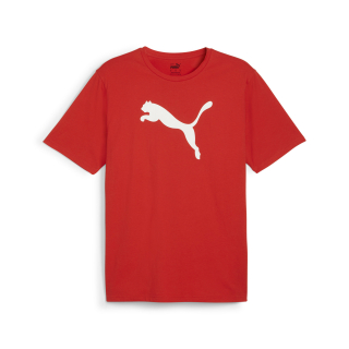 teamRISE Logo Baumwollshirt PUMA Red-PUMA White