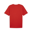 teamRISE Logo Jersey Cotton PUMA Red-PUMA White